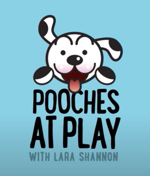 Pooches at Play with Lara Shannon